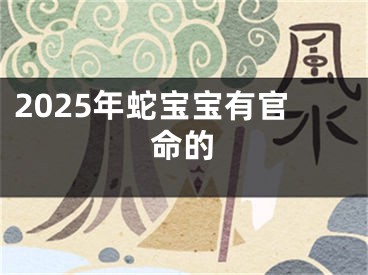 2025年蛇宝宝有官命的