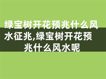 绿宝树开花预兆什么风水征兆,绿宝树开花预兆什么风水呢