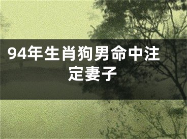 94年生肖狗男命中注定妻子