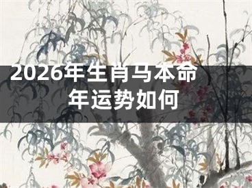 2026年生肖马本命年运势如何