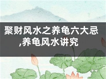 聚财风水之养龟六大忌,养龟风水讲究