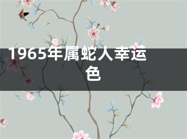 1965年属蛇人幸运色