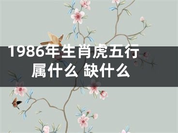 1986年生肖虎五行属什么 缺什么