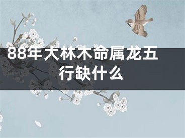 88年大林木命属龙五行缺什么