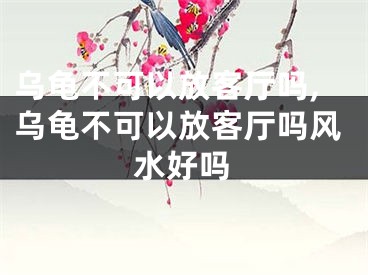 乌龟不可以放客厅吗,乌龟不可以放客厅吗风水好吗