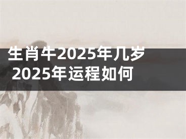 生肖牛2025年几岁 2025年运程如何