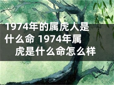 1974年的属虎人是什么命 1974年属虎是什么命怎么样