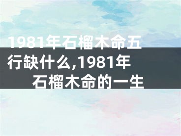 1981年石榴木命五行缺什么,1981年石榴木命的一生