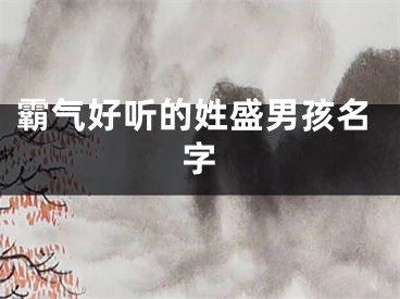 霸气好听的姓盛男孩名字