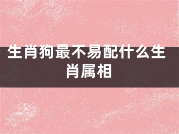 生肖狗最不易配什么生肖属相