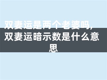 双妻运是两个老婆吗,双妻运暗示数是什么意思