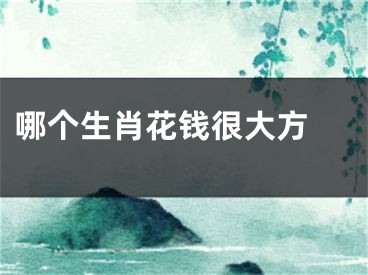 哪个生肖花钱很大方 