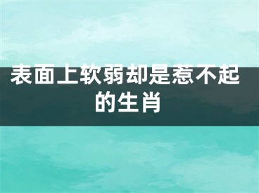 表面上软弱却是惹不起的生肖