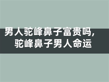 男人驼峰鼻子富贵吗,驼峰鼻子男人命运