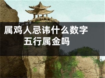 属鸡人忌讳什么数字 五行属金吗 