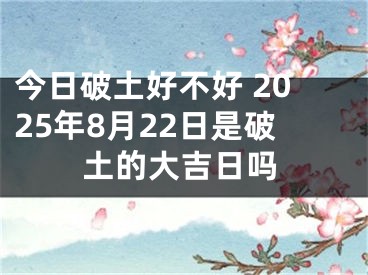 今日破土好不好 2025年8月22日是破土的大吉日吗