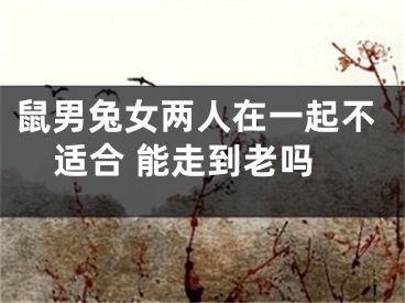 鼠男兔女两人在一起不适合 能走到老吗