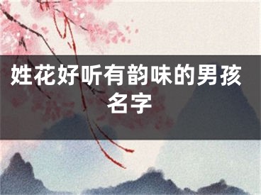 姓花好听有韵味的男孩名字