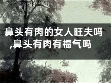 鼻头有肉的女人旺夫吗,鼻头有肉有福气吗