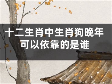 十二生肖中生肖狗晚年可以依靠的是谁