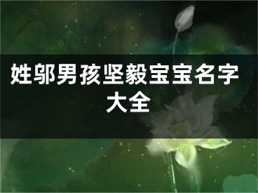 姓邬男孩坚毅宝宝名字大全