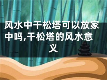 风水中干松塔可以放家中吗,干松塔的风水意义