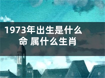 1973年出生是什么命 属什么生肖