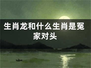 生肖龙和什么生肖是冤家对头