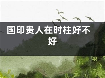  国印贵人在时柱好不好