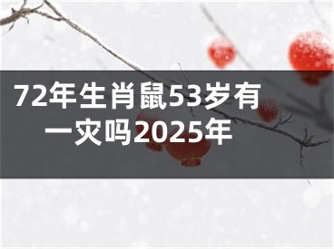 72年生肖鼠53岁有一灾吗2025年