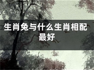 生肖兔与什么生肖相配最好