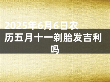 2025年6月6日农历五月十一剃胎发吉利吗