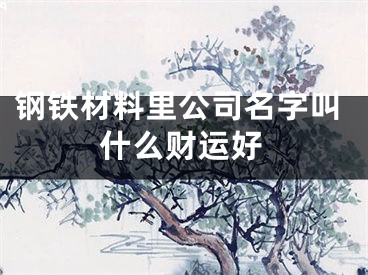 钢铁材料里公司名字叫什么财运好