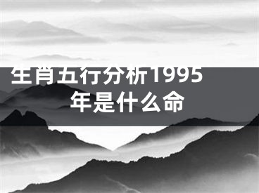 生肖五行分析1995年是什么命