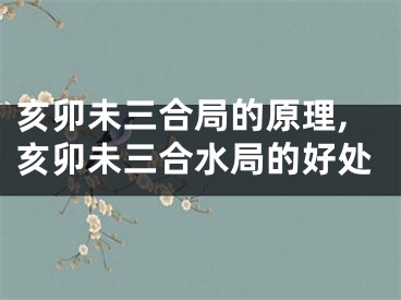 亥卯未三合局的原理,亥卯未三合水局的好处