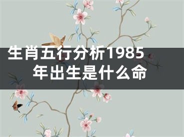 生肖五行分析1985年出生是什么命