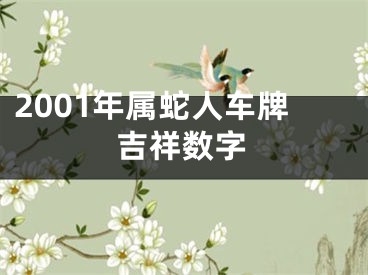 2001年属蛇人车牌吉祥数字
