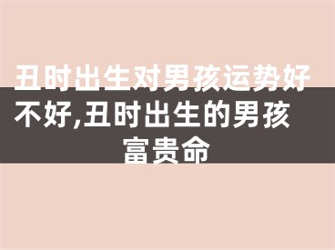 丑时出生对男孩运势好不好,丑时出生的男孩富贵命