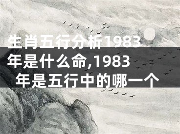 生肖五行分析1983年是什么命,1983年是五行中的哪一个