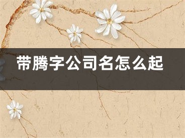 带腾字公司名怎么起