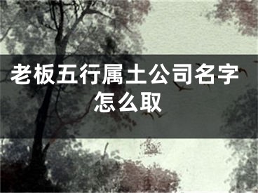 老板五行属土公司名字怎么取