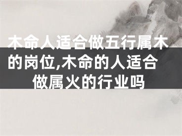 木命人适合做五行属木的岗位,木命的人适合做属火的行业吗