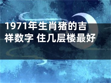 1971年生肖猪的吉祥数字 住几层楼最好 