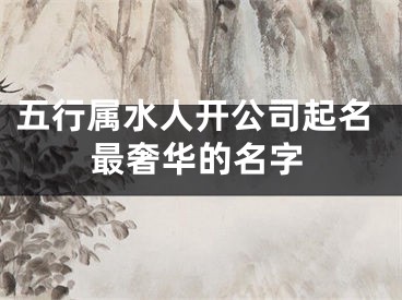 五行属水人开公司起名最奢华的名字