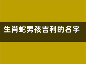 生肖蛇男孩吉利的名字