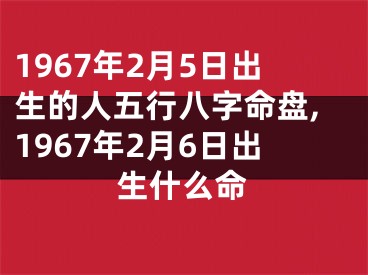 1967年2月5日出生的人五行八字命盘,1967年2月6日出生什么命