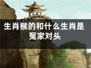 生肖猴的和什么生肖是冤家对头