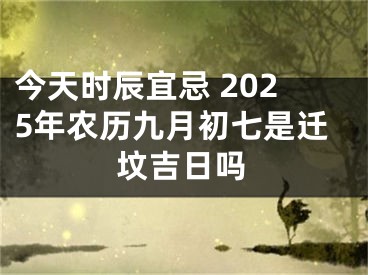 今天时辰宜忌 2025年农历九月初七是迁坟吉日吗
