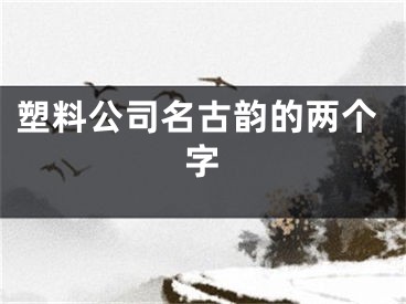 塑料公司名古韵的两个字