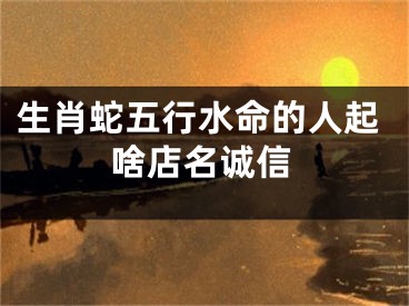 生肖蛇五行水命的人起啥店名诚信